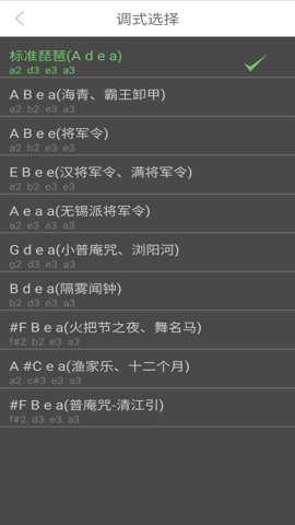 智能琵琶调音器