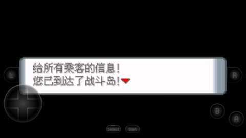 口袋妖怪战斗