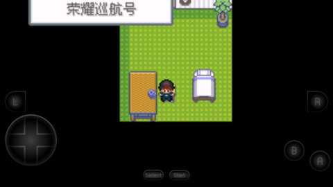口袋妖怪战斗