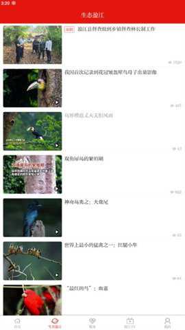 盈江云下载