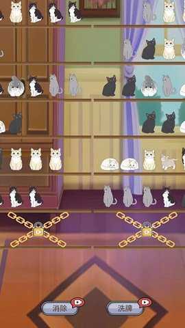填空猫猫下载