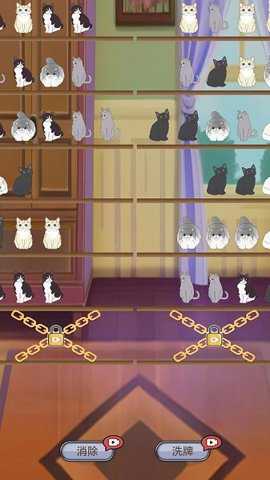 填空猫猫下载