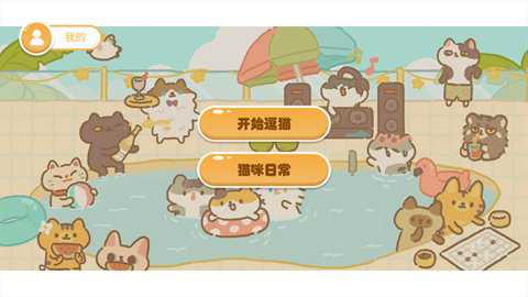 逗猫游戏