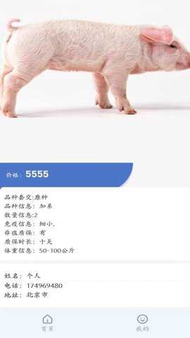 易猪宝app