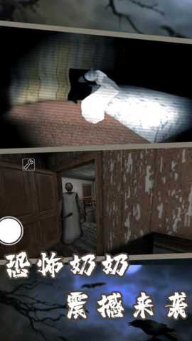 恐怖奶奶11