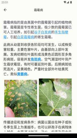 鱼菜记下载