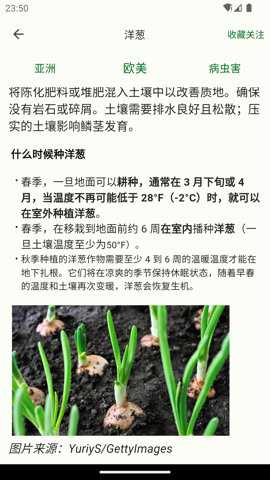 鱼菜记下载