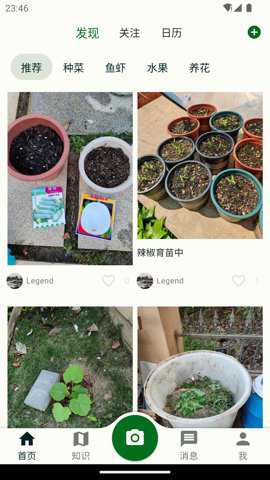 鱼菜记下载