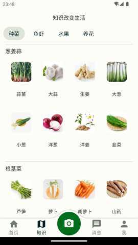 鱼菜记下载