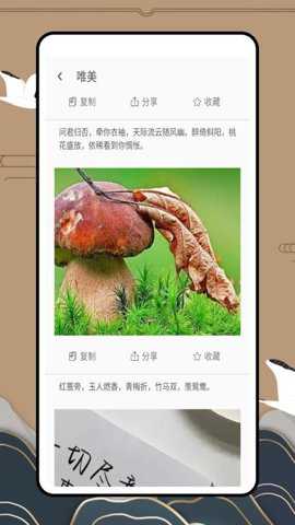 引起共鸣app