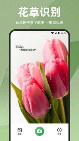 识花iPlant