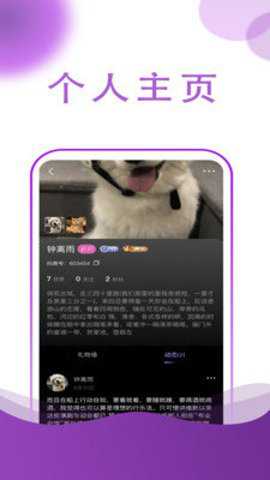 抖爽下载
