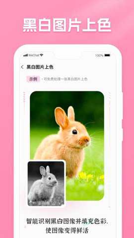 极速照片恢复助手