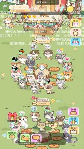找下猫